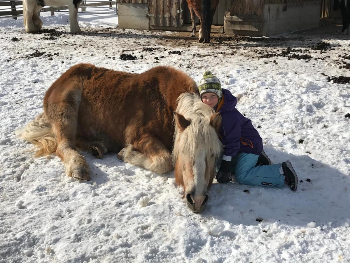 Pony-Ziegen-Hasen-Ranch Bichlbach Apartment Bagian luar foto