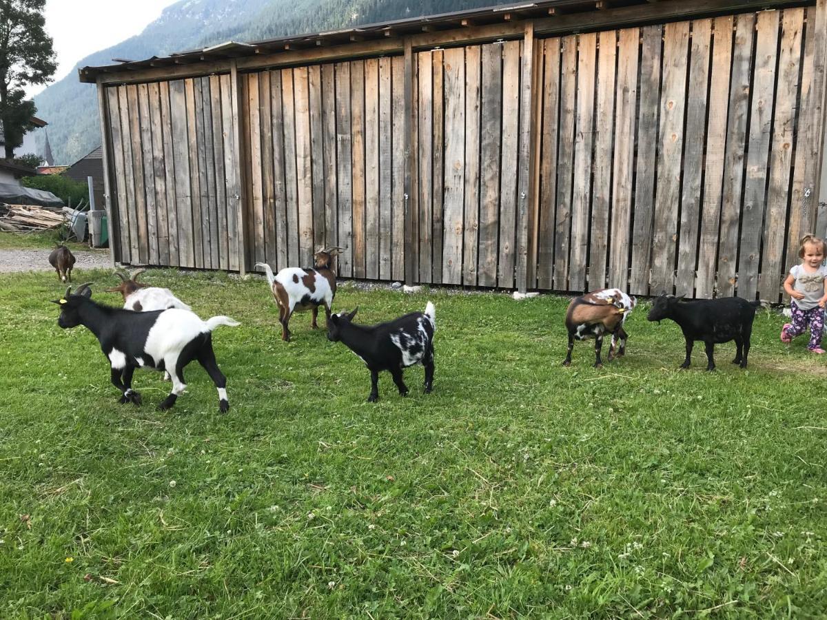 Pony-Ziegen-Hasen-Ranch Bichlbach Apartment Bagian luar foto
